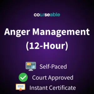 Personal Anger Management Course (12-Hour)