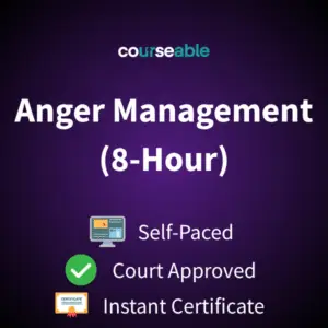Anger Management Course (8-Hour)